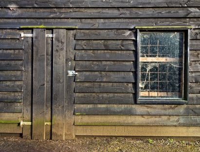 An old, rotting shed